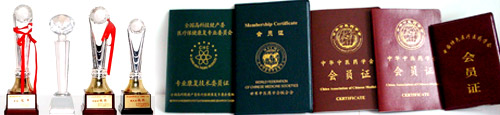 郑州荣誉2.jpg