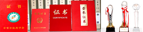 郑州荣誉1.jpg